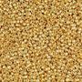 24K Gold Washed Pony Beads