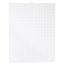 #10 White Darice Plastic Canvas 