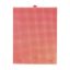 #7 Darice Plastic Canvas