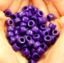 O-3156 Purple Pony Beads
