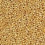 24K Gold Washed Pony Beads